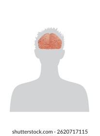 Brain  isolated on man. vector