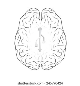 Brain isolated on white. EPS10 vector