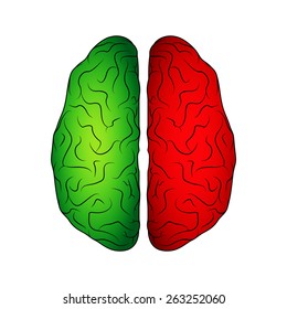 Brain isolated on white. EPS10 vector