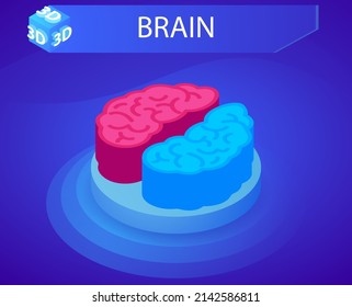 Brain isometric design icon. Vector web illustration. 3d colorful concept
