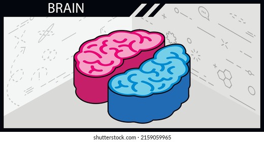 Brain isometric design icon. Vector web illustration. 3d colorful concept