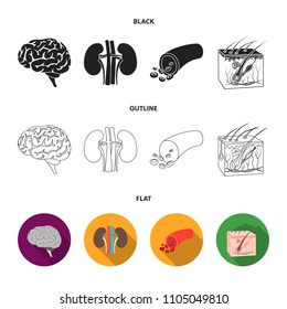 Brain, kidney, blood vessel, skin. Organs set collection icons in black,flat,outline style vector symbol stock illustration web.