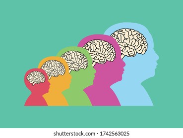 brain of kids in different ages flat vector - brain development concept