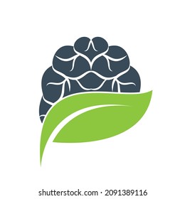 Brain and leaf logo combination vector design. Organic brain logo vector design.