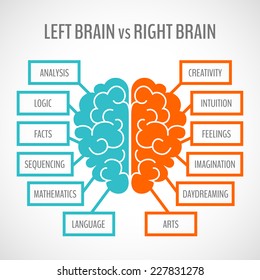 Brain left analytical and right creative hemispheres infographics set vector illustration