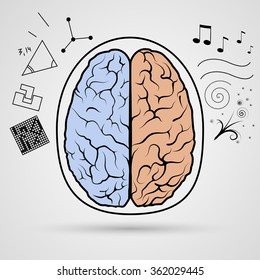Brain left analytical and right creative hemispheres