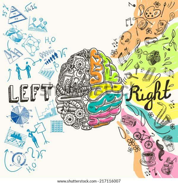 Brain left analytical and right\
creative hemispheres sketch concept vector\
illustration