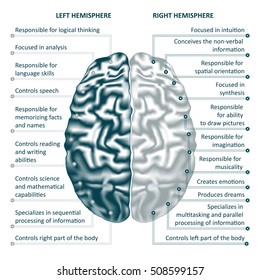 Brain left and right hemispheres infographics vector illustration