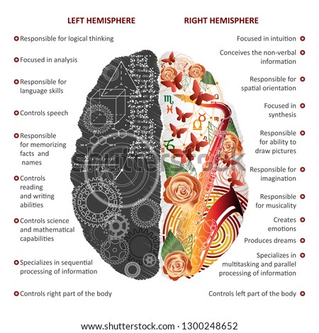 Brain left and right hemispheres infographics vector illustration