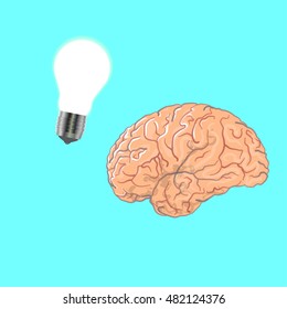 brain and light bulb. the idea on a blue background. the idea is bright. the art idea. the idea of the poster. object the brain and the light bulb. the lamp lights up. the brain thinks.