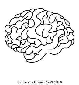 Brain line art