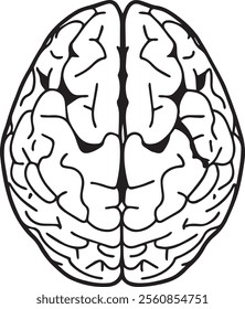 A brain line art design is a minimalist depiction of the human brain, featuring clean, interconnected lines that outline its intricate structure. The design highlights the brain's lobes, curves.