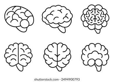 Brain line art intricate anatomy drawing