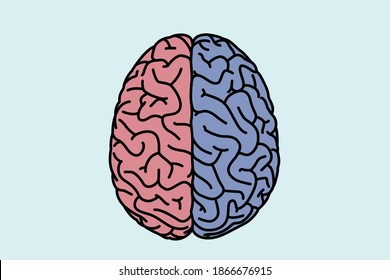  Brain line art , vector illustration