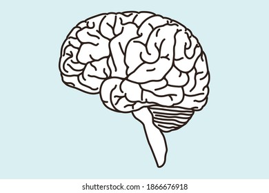 Brain Line Art Vector Illustration: เวกเตอร์สต็อก (ปลอดค่าลิขสิทธิ์