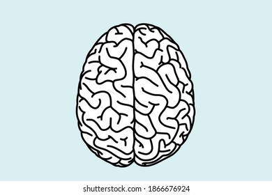  Brain line art , vector illustration