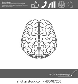 Brain line icon