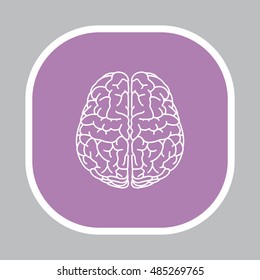 Brain line icon