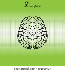 Brain line icon