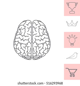 Brain line icon