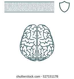 Brain line icon