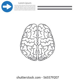 Brain line icon