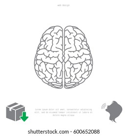 Brain line icon
