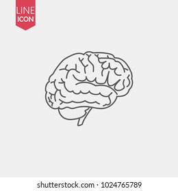 Brain line icon flat isolated on white background. vector illustration. Human organ symbol