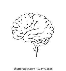 Brain Line Sign. Human Organ Sketch. Vector Illustration On White Background