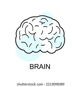 Brain linear icon. Human brain icon in linear style isolated. vector eps10