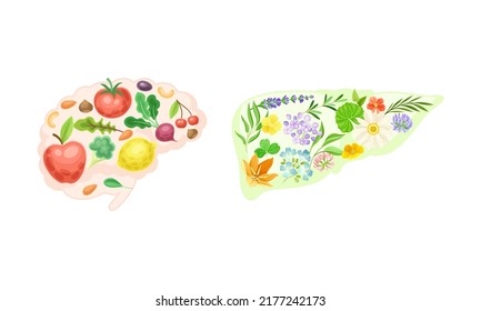 Brain and liver made of fresh fruit and vegetables. Healthy human internal organs vector illustration