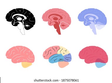 Brain Logo Set For Neurology Clinic. Infection In Human Brains. Sensation, Intellectual, Nervous Activity Research, Medical Exam And Treatment. Nervous System Flat Vector Illustration. Medical Poster.