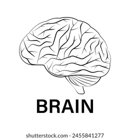 Brain Logo Symbol. Human Brain. Vector Illustration.