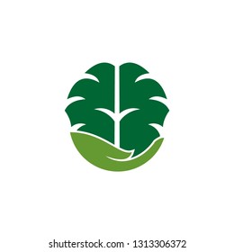 brain logo template