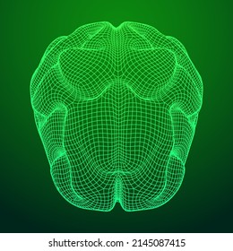 Brain. Low poly abstract digital human brain. Neural network. IQ testing, artificial intelligence virtual emulation science technology concept. Wireframe low poly mesh vector illustration.