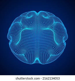 Brain. Low poly abstract digital human brain. Neural network. IQ testing, artificial intelligence virtual emulation science technology concept. Wireframe low poly mesh vector illustration.