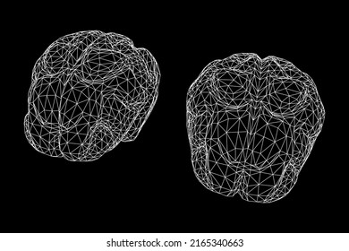 Brain. Low poly abstract digital human brain. Neural network. IQ testing, artificial intelligence virtual emulation science technology concept. Wireframe low poly mesh vector illustration.