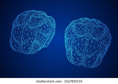 Brain. Low poly abstract digital human brain. Neural network. IQ testing, artificial intelligence virtual emulation science technology concept. Wireframe low poly mesh vector illustration.