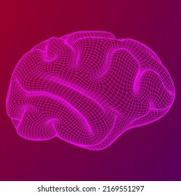Brain. Low poly abstract digital human brain. Neural network. IQ testing, artificial intelligence virtual emulation science technology concept. Wireframe low poly mesh vector illustration.