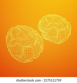 Brain. Low poly abstract digital human brain. Neural network. IQ testing, artificial intelligence virtual emulation science technology concept. Wireframe low poly mesh vector illustration.