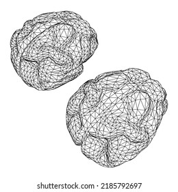 Brain. Low poly abstract digital human brain. Neural network. IQ testing, artificial intelligence virtual emulation science technology concept. Wireframe low poly mesh vector illustration.