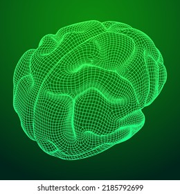 Brain. Low poly abstract digital human brain. Neural network. IQ testing, artificial intelligence virtual emulation science technology concept. Wireframe low poly mesh vector illustration.