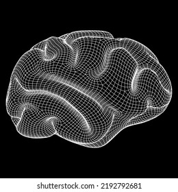 Cerebro. Cerebro humano digital abstracto de polos bajo. Red neuronal. IQ testing, inteligencia artificial virtual emulación concepto de tecnología científica. Ilustración vectorial de malla baja de malla de malla de alambre.
