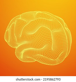Brain. Low poly abstract digital human brain. Neural network. IQ testing, artificial intelligence virtual emulation science technology concept. Wireframe low poly mesh vector illustration.