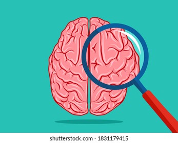 brain and magnifying glass. Brain research and education concept