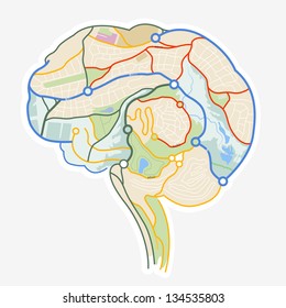 Brain Map. An illustration of a human brain made up from a map. Vector illustration.