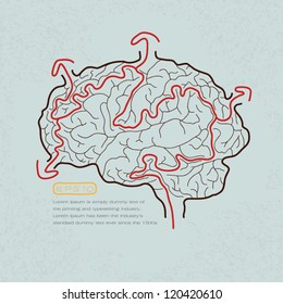 Brain Maze With Correct Path , Vector