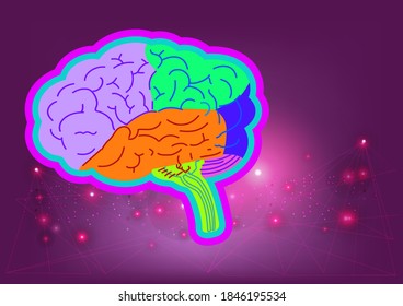 brain Medical science educational illustration