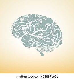 Brain in meditation