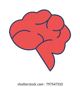 brain mind head 